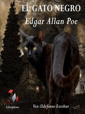 cover image of EL GATO NEGRO